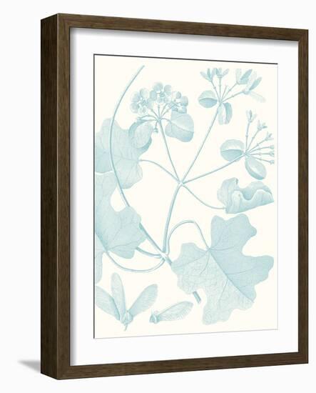 Botanical Study in Spa II-Vision Studio-Framed Art Print