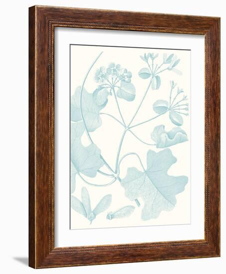 Botanical Study in Spa II-Vision Studio-Framed Art Print