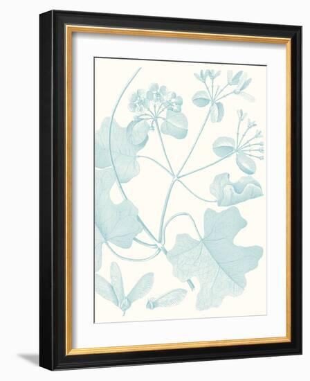 Botanical Study in Spa II-Vision Studio-Framed Art Print