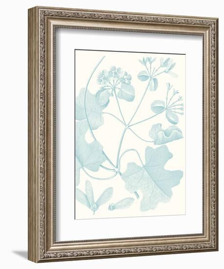 Botanical Study in Spa II-Vision Studio-Framed Art Print