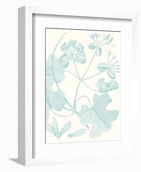 Botanical Study in Spa II-Vision Studio-Framed Art Print