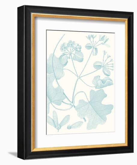 Botanical Study in Spa II-Vision Studio-Framed Art Print
