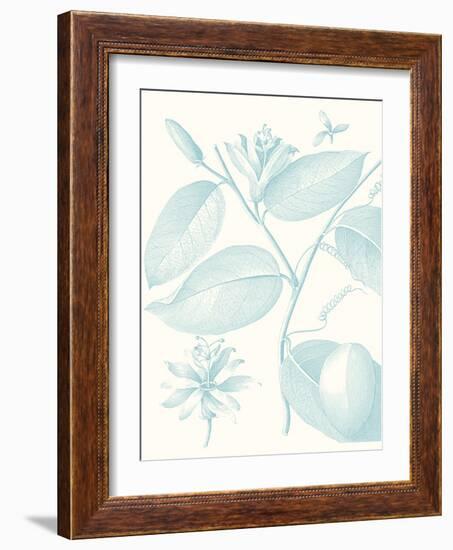 Botanical Study in Spa III-Vision Studio-Framed Art Print