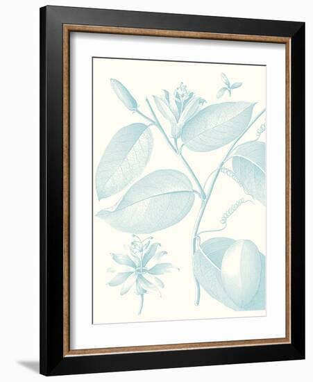 Botanical Study in Spa III-Vision Studio-Framed Art Print