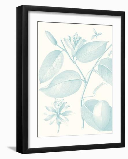 Botanical Study in Spa III-Vision Studio-Framed Art Print