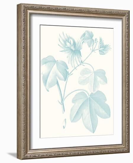 Botanical Study in Spa IV-Vision Studio-Framed Art Print