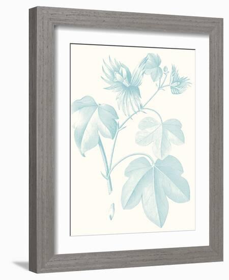 Botanical Study in Spa IV-Vision Studio-Framed Art Print