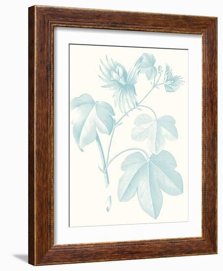 Botanical Study in Spa IV-Vision Studio-Framed Art Print