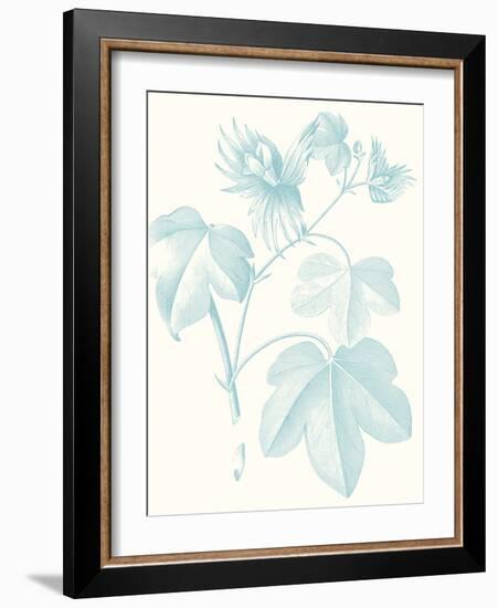 Botanical Study in Spa IV-Vision Studio-Framed Art Print