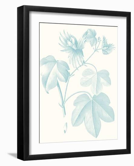 Botanical Study in Spa IV-Vision Studio-Framed Art Print