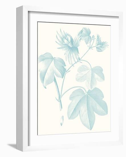 Botanical Study in Spa IV-Vision Studio-Framed Art Print
