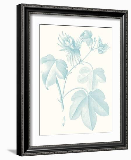 Botanical Study in Spa IV-Vision Studio-Framed Art Print