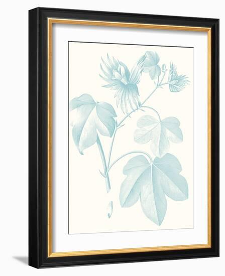 Botanical Study in Spa IV-Vision Studio-Framed Art Print