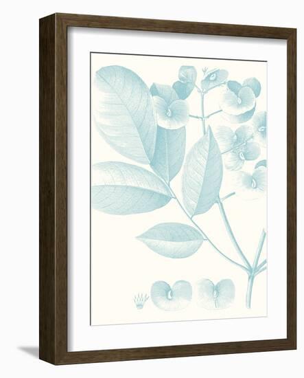 Botanical Study in Spa V-Vision Studio-Framed Art Print