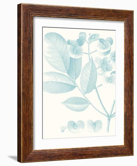 Botanical Study in Spa V-Vision Studio-Framed Art Print