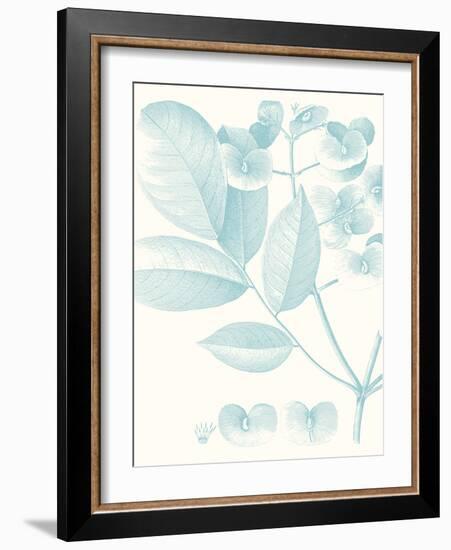 Botanical Study in Spa V-Vision Studio-Framed Art Print