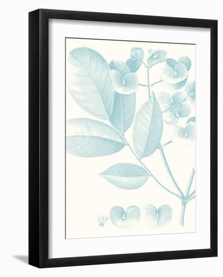 Botanical Study in Spa V-Vision Studio-Framed Art Print