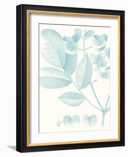 Botanical Study in Spa V-Vision Studio-Framed Art Print