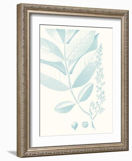 Botanical Study in Spa VI-Vision Studio-Framed Art Print