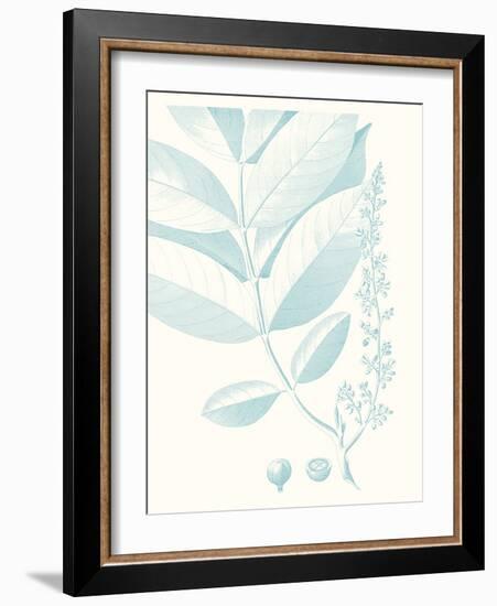 Botanical Study in Spa VI-Vision Studio-Framed Art Print