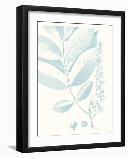 Botanical Study in Spa VI-Vision Studio-Framed Art Print