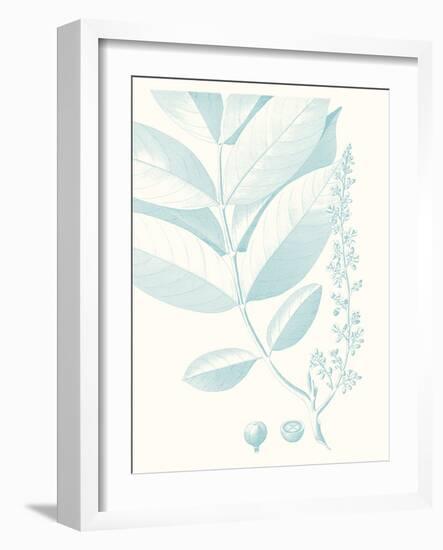 Botanical Study in Spa VI-Vision Studio-Framed Art Print