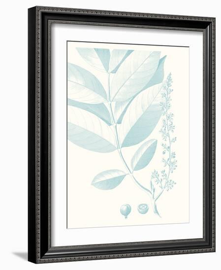 Botanical Study in Spa VI-Vision Studio-Framed Art Print