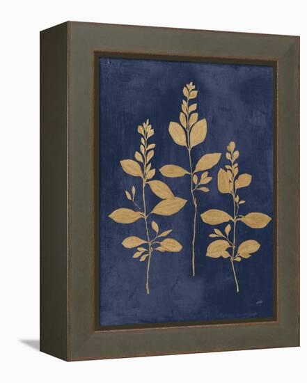 Botanical Study IV Gold Navy-Julia Purinton-Framed Stretched Canvas