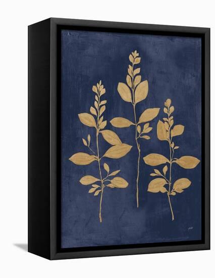 Botanical Study IV Gold Navy-Julia Purinton-Framed Stretched Canvas