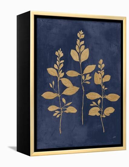 Botanical Study IV Gold Navy-Julia Purinton-Framed Stretched Canvas