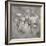 Botanical Study No. 4-Nicholas Bell-Framed Photographic Print