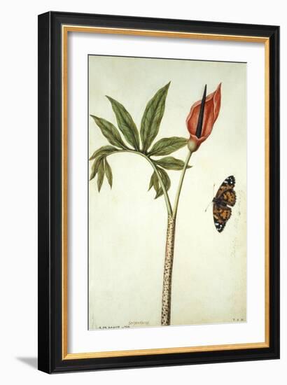 Botanical Study of a Dragon Lily and Butterfly-Jacques Le Moyne De Morgues-Framed Giclee Print