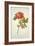 Botanical Study of a Peony-Jacques Le Moyne De Morgues-Framed Giclee Print