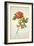 Botanical Study of a Peony-Jacques Le Moyne De Morgues-Framed Giclee Print