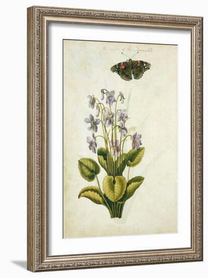 Botanical Study of a Violet-Jacques Le Moyne De Morgues-Framed Giclee Print