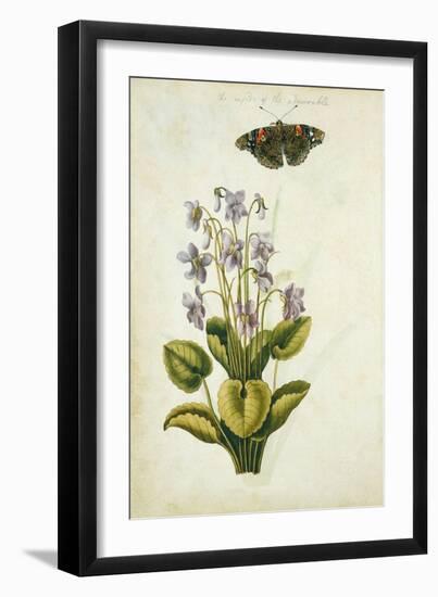 Botanical Study of a Violet-Jacques Le Moyne De Morgues-Framed Giclee Print