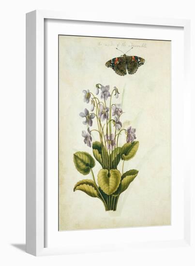 Botanical Study of a Violet-Jacques Le Moyne De Morgues-Framed Giclee Print