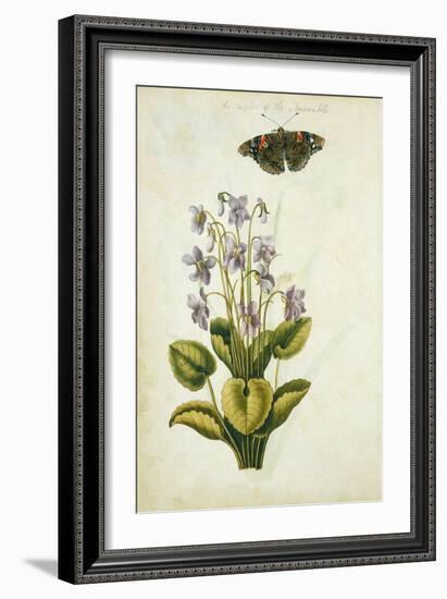 Botanical Study of a Violet-Jacques Le Moyne De Morgues-Framed Giclee Print