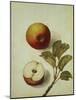 Botanical Study of an Apple-Jacques Le Moyne De Morgues-Mounted Giclee Print