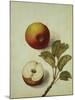 Botanical Study of an Apple-Jacques Le Moyne De Morgues-Mounted Giclee Print