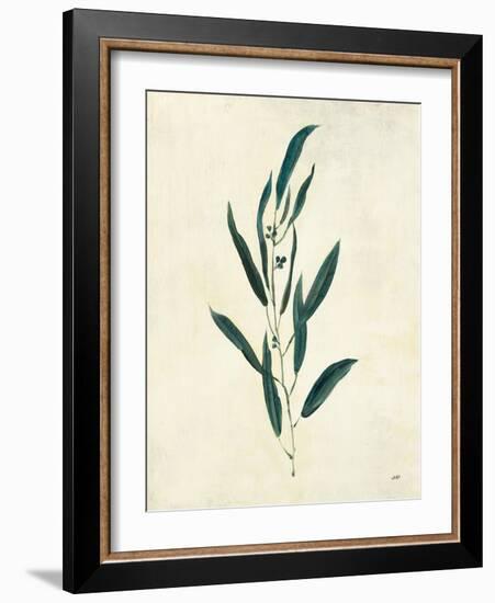 Botanical Study V-Julia Purinton-Framed Art Print