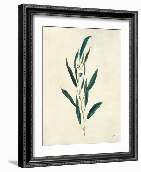 Botanical Study V-Julia Purinton-Framed Art Print