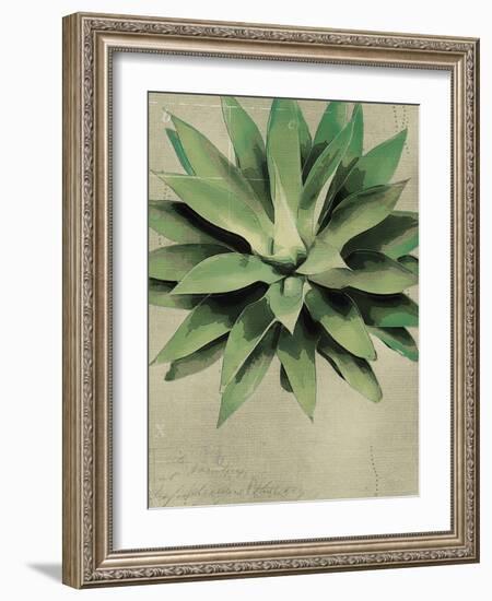 Botanical Study-The Vintage Collection-Framed Giclee Print