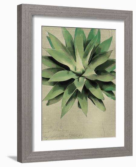 Botanical Study-The Vintage Collection-Framed Giclee Print