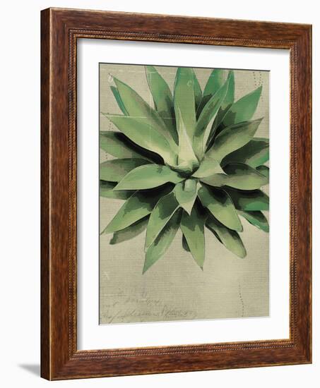 Botanical Study-The Vintage Collection-Framed Giclee Print