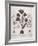 Botanical VII-Basilius Besler-Framed Premium Giclee Print