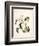 Botanical Watercolour: Orchid, Coelogyne Interrupta-Samuel Holden-Framed Giclee Print