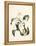 Botanical Watercolour: Orchid, Coelogyne Interrupta-Samuel Holden-Framed Premier Image Canvas