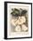 Botanical Watercolour: Orchid, Dendrobium Formosum-Samuel Holden-Framed Giclee Print