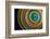 Botanical wheel-Heidi Westum-Framed Photographic Print